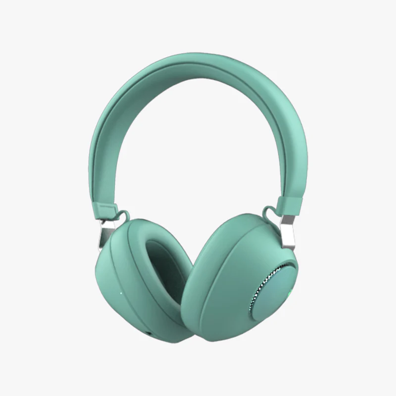 Zebronic duke